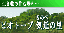 �u�������̏Z�ޏꏊ�v�r�I�g�[�v �C���̗��i���ׂ̂̂��Ɓj